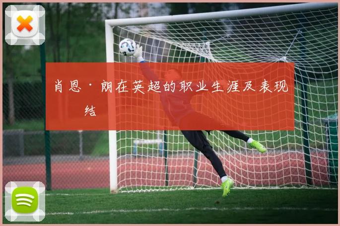 肖恩·朗在英超的职业生涯及表现总结