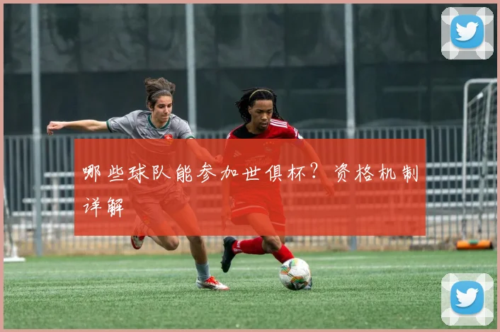哪些球队能参加世俱杯？资格机制详解