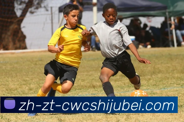 App Interface Preview