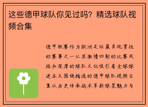 这些德甲球队你见过吗？精选球队视频合集